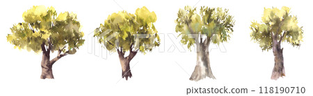 Deciduous green trees set. Hand painted watercolor illustration. Silhouettes of leafy bushes, oak, linden, olive, alder or beech tree for your botanical or landscape design. Isolated from background 118190710