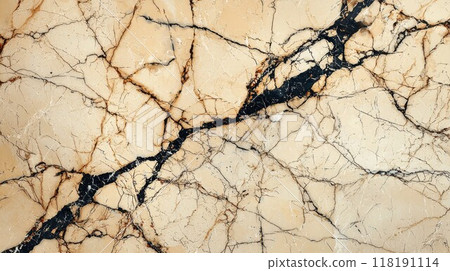 Beige Marble with Black Veins Horizontal Background. Beige Marble with Black Veins Horizontal Background. 118191114