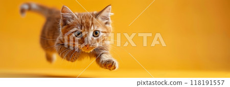 Orange Kitten Leaping on Yellow Background. Energetic orange kitten leaping with excitement on a vibrant yellow background, capturing a moment of playful action. Banner with copy space 118191557