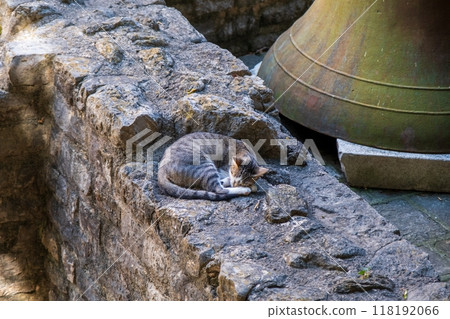 Cat sleeping on stone ledge near large bell 118192066