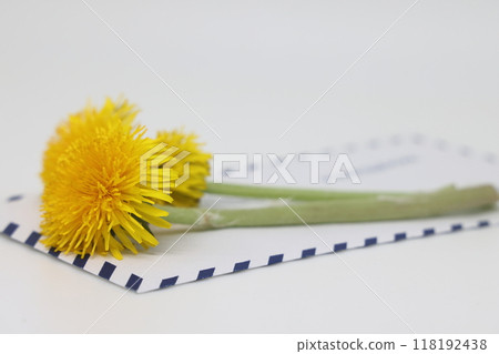 Bright yellow bouquet of field dandelions plucked from a spring meadow, Bright yellow bouquet of field dandelions plucked from a spring meadow, 118192438