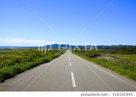 Golden road 118192843