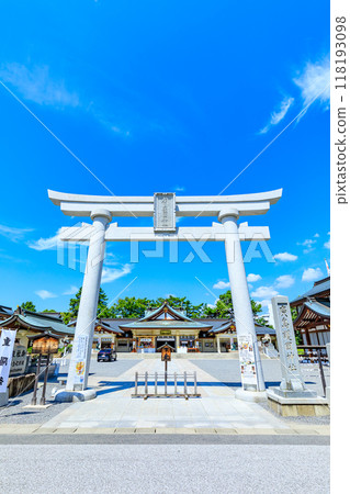 Hiroshima Gokoku Shrine in summer, Hiroshima City, Hiroshima Prefecture 118193098
