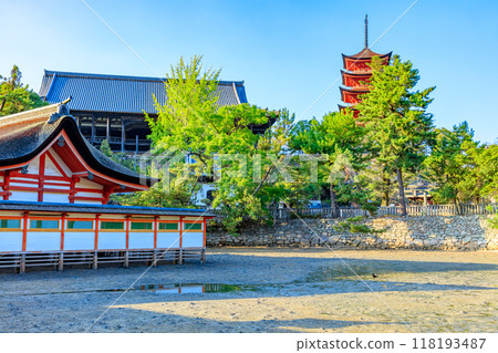Itsukushima Shrine in summer at low tide, Hatsukaichi City, Hiroshima Prefecture Itsukushima Shrine in summer at low tide, Hatsukaichi City, Hiroshima Prefecture 118193487
