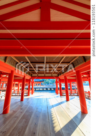 Itsukushima Shrine in summer at low tide, Hatsukaichi City, Hiroshima Prefecture 118193501