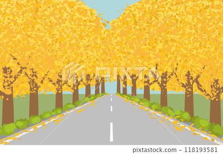 Autumn image: Ginkgo tree lined background material 118193581