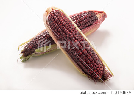 Yamato Rouge Red Sweet Corn 118193689