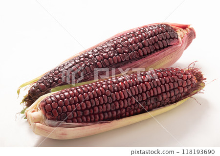 Yamato Rouge Red Sweet Corn Yamato Rouge Red Sweet Corn 118193690