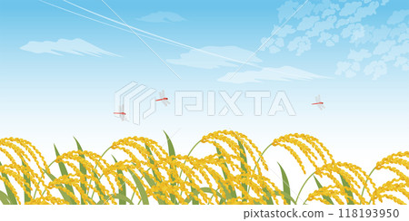 Rice ears and blue sky background_vector illustration (2:1) Rice ears and blue sky background_vector illustration (2:1) 118193950