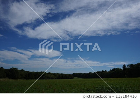 北海道夏季風景:雄偉的草地 北海道夏季風景:雄偉的草地 118194416
