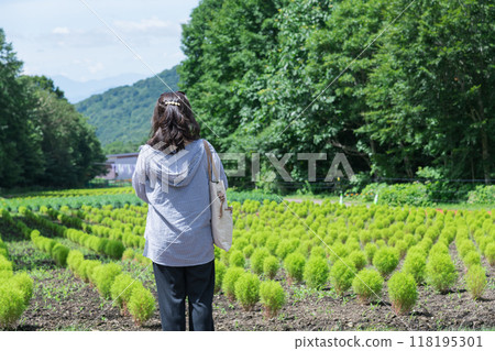 [Blue Kochia and a Woman] 118195301