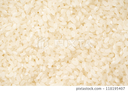 Rice close-up background 118195407