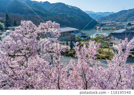 長野縣伊那市高遠城跡公園內的高遠町歷史博物館和高遠湖,據說是全國最好的櫻花 長野縣伊那市高遠城跡公園內的高遠町歷史博物館和高遠湖,據說是全國最好的櫻花 118195540