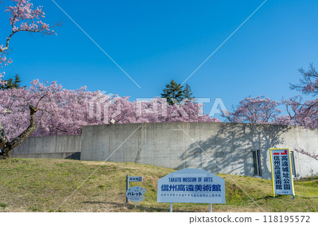 Ina City, Nagano Prefecture Near the entrance to the Shinshu Takato Museum of Art in Takato Castle Park, which is said to have the best cherry blossoms in the world 118195572