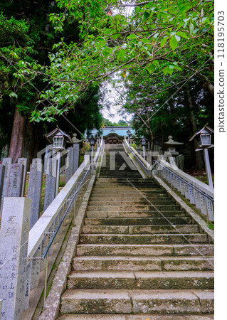 神社參道(垂直) 神社參道(垂直) 118195703