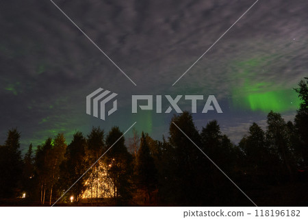 Aurora Aurora 118196182