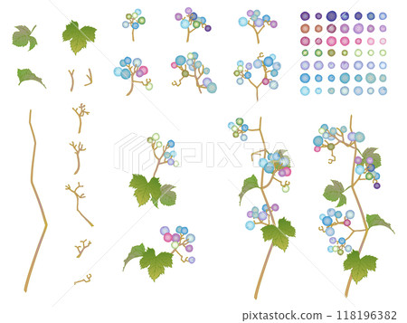 Wild grapes set 118196382