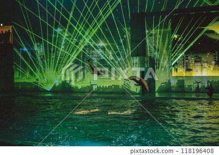 Hakkeijima Sea Paradise Dolphin Show Hakkeijima Sea Paradise Dolphin Show 118196408