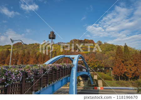 Seoul South Korea of ladder walkway to Haneul Park in autumn Seoul South Korea of ladder walkway to Haneul Park in autumn 118196670