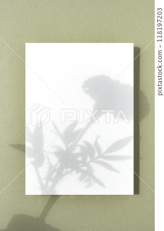 Plants shadow and blank card mock-up 118197203