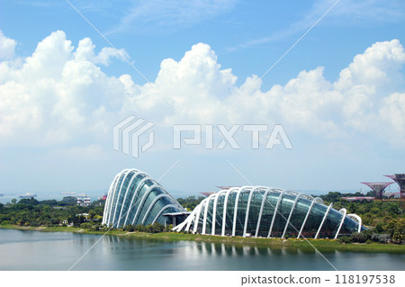 從新加坡摩天觀景輪看到的濱海灣花園 118197538