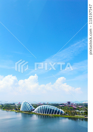 從新加坡摩天觀景輪看到的濱海灣花園 118197547