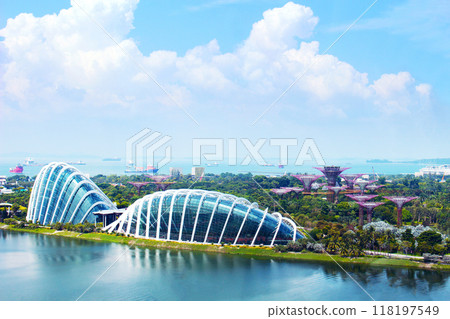 從新加坡摩天觀景輪看到的濱海灣花園 118197549