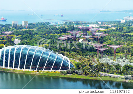 View of Gardens by the Bay from the Singapore Flyer 118197552