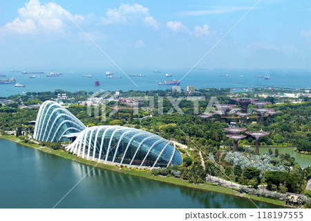 View of Gardens by the Bay from the Singapore Flyer 118197555