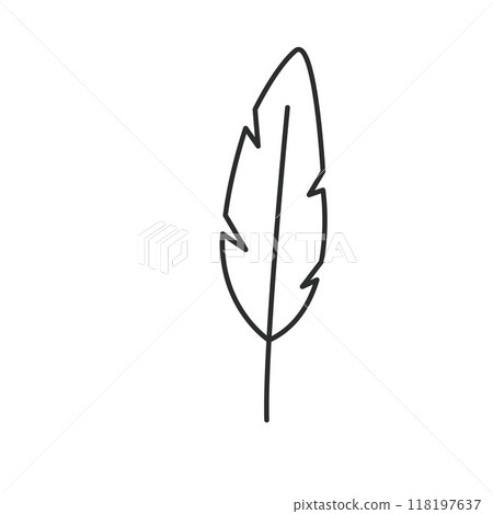 feather line icon vector design illustration element feather line icon vector design illustration element 118197637