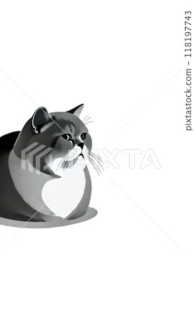 A monotone image of a British Shorthair from the UK. It has a round face and a thick neck, and is calm and gentle. 118197743