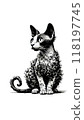 Monotone image of a British Cornish Rex cat with curly fur and a slender body. 118197745