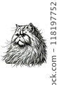 A monotone image of an Iranian Persian cat, characterized by its long hair and bushy face. 118197752