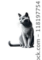 A monotone image of a Russian Blue cat, known for its blue fur and green eyes. 118197754