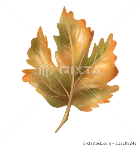 A bright autumn green-orange maple leaf. Traditional festival and harvest festival, seasonal plants. Nature, trees and rural life. Digital isolated illustration. For design of printing and packaging A bright autumn green-orange maple leaf. Traditional festival and harvest festival, seasonal plants. Nature, trees and rural life. Digital isolated illustration. For design of printing and packaging 118198242
