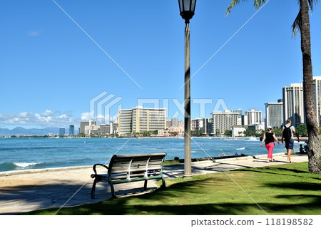 Holidays in Hawaii 118198582