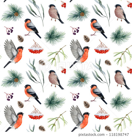 Winter time seamless pattern with bullfinch birds, natural forest elements. Watercolor illustration. Male, female bullfinches, rowanberry, pine tree branch elements seamless pattern, white background 118198747