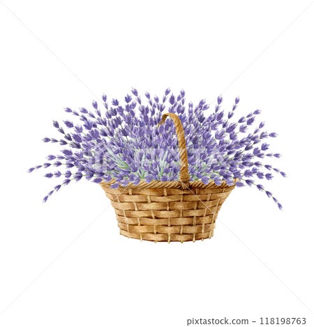 Lavender flowers in elegant basket decor watercolor painted illustration. Vintage style decoration with lavender flowers. Aroma lavandula organic herb in wicker rustic basket on white background 118198763