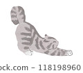 American Shorthair Gray Cat Illustration Vector 118198960