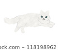 White cat Cat illustration Vector 118198962