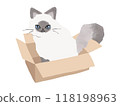 Himalayan cat entering a cardboard box - vector illustration 118198963