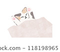 Sleeping calico cat Cat illustration Vector 118198965