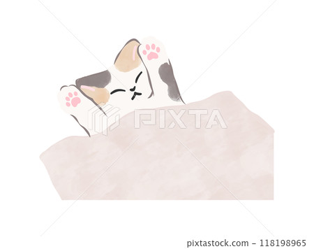 Sleeping calico cat Cat illustration Vector Sleeping calico cat Cat illustration Vector 118198965