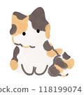Calico cat kitten illustration vector 118199074
