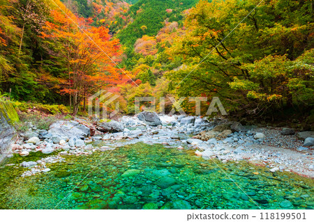 阿加尼亞山谷在秋天 118199501