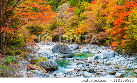 阿加尼亞山谷在秋天 阿加尼亞山谷在秋天 118199536