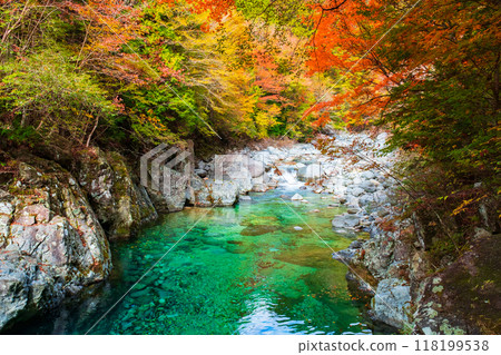 The Agana valley in autumn 118199538