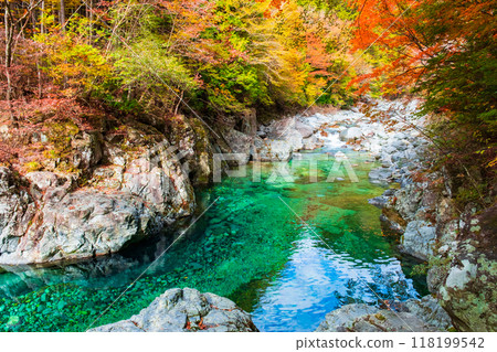 阿加尼亞山谷在秋天 阿加尼亞山谷在秋天 118199542