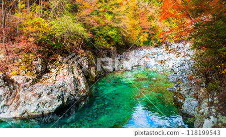 阿加尼亞山谷在秋天 阿加尼亞山谷在秋天 118199543