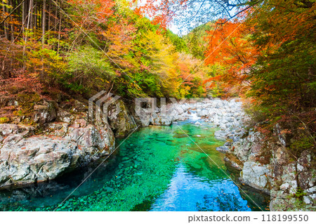 阿加尼亞山谷在秋天 118199550